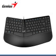 TECLADO GENIUS ERGO KB-700 BLACK TECLAS COPILOT ESPAÑOL USB (PN:31310053401)